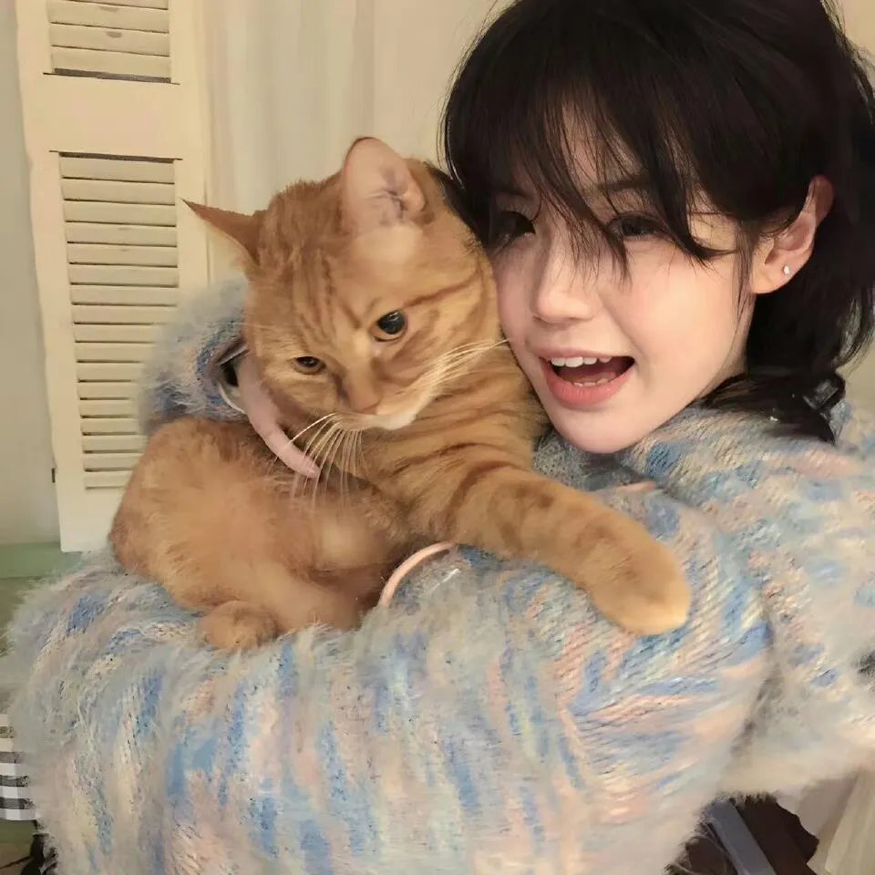 功夫熊猫:盖世传奇第一季